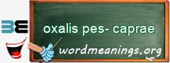 WordMeaning blackboard for oxalis pes-caprae